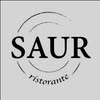 Logo Ristorante SAUR